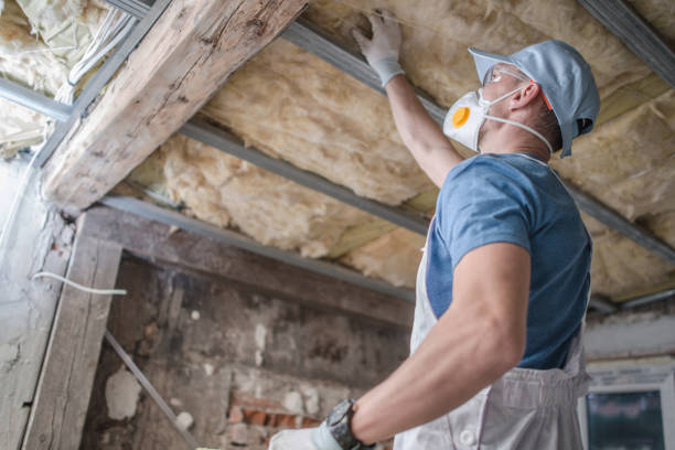 Best Cellulose Insulation in Laurium, MI