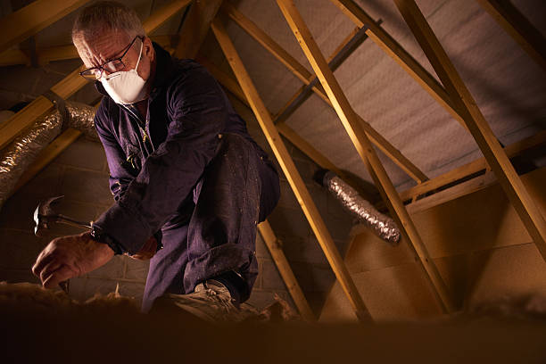 Best Specialized Insulation Services in Laurium, MI